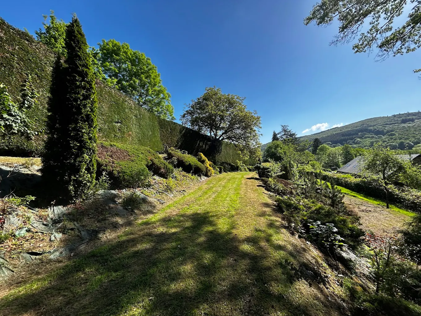 Paysagiste Entretien complet de terrain : tonte et taille de haies avec finitions Autun 71400